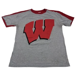 VTG 90s Wisconsin Badgers Big Bucky NCAA T-Shirt Gray Front Red Back L - Picture 1 of 8