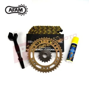 AFAM Gold Chain and Sprocket Kit (Alloy) fits Gas Gas 280 TXT Trial 08-14 - Picture 1 of 2