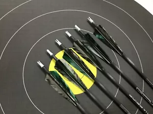 Gold Tip Warrior Spine 500 carbonPfeil Incl. Nock weis u. Insert mit Spitze - Bild 1 von 3