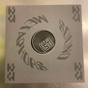 69db - LSD READ DESCRIPTION (12", EP) (Mint (M)) - Imagen 1 de 1