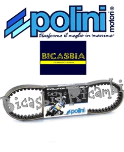 6331 - CINGHIA POLINI PER VARIATORE 50 PIAGGIO NRG EXTREME MC2 MC3 POWER PUREJET - Foto 1 di 1