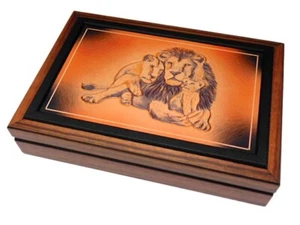 Münzkassette 5 oder 10 x 1 oz ' Big five ' Gold / Platin Südafrika - Bild 1 von 3