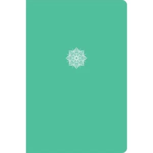 CSB Everyday Study Bible, Mint Color-Pop, Global - Picture 1 of 1