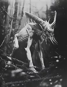 Hodag 1899 Foto Wisconsin Sumpf Kreatur Kryptid Mythologie Folklore 8,5X11 - Bild 1 von 2