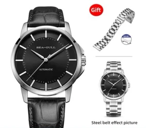 Orologio Automatico Seagull 819.22.6066 con Movimento ST16 - Foto 1 di 6