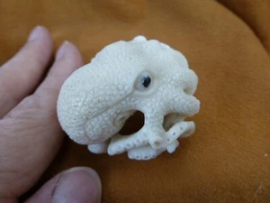 (TB-OCTO-3) white Octopus ball TAGUA NUT palm figurine Bali Oce reef octopi - Picture 1 of 3