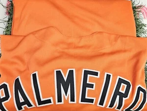 Rafael Palmeiro signiertes individuelles Baltimore Orioles Trikot - Bild 1 von 3
