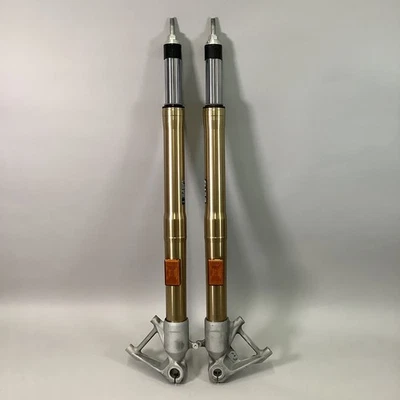 Tubo amortiguador suspensión horquilla delantera izquierda y derecha para BMW R1250RT 13-25 Foto 1 de 4