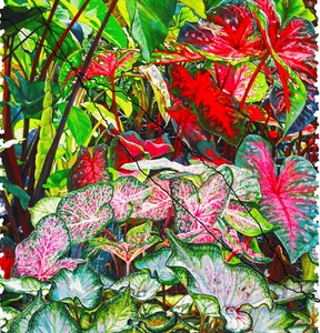 Buntes Caladium (276-teiliges Holzpuzzle) - Bild 1 von 8