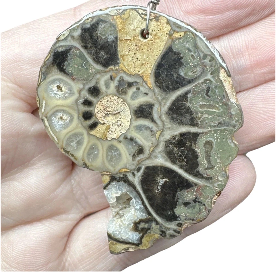 Raro ÚNICO Collar Colgante Gigante Cuarzo Geoda Cristal Fósil Amonita Foto 1 de 4