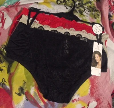 3 BRAGAS DAISY FUENTES DF4825AX 1 TALLA GRANDE ENCAJE Y MICRO ACANALADAS MF HIPSTER 1X Foto 1 de 3