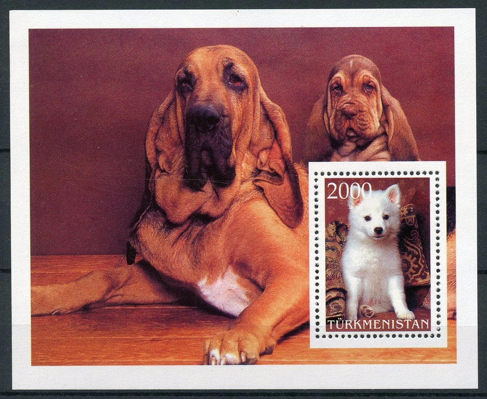 Estampillas de perros de Turkmenistán MNH 1v M/S mascotas animales domésticos perros Foto 1 de 1