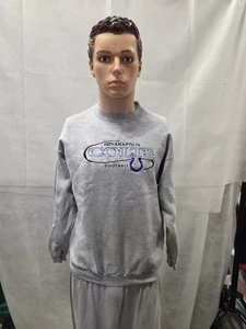 Suéter Atlético Cuello Redondo Logo Indianpolis Colts De Colección L NFL - Imagen 1 de 6