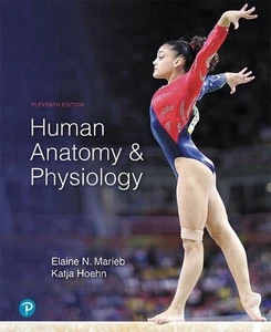 Human Anatomy & Physiology by Katja Hoehn (English) Hardcover Book - Bild 1 von 1