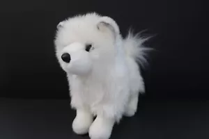 2016 Douglas White Phoebe Pomeranian Plush Pomsky Pom Spitz Dog 9" Stuffed 1704 - Picture 1 of 7