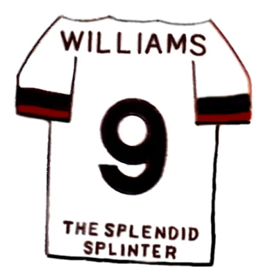 Ted Williams Pin RARE Boston Red Sox Pin Splendid Splinter Commemorative Pin - Image 1 of 2