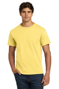 Hanes® - Authentic 100% Cotton T-Shirt - 5250 - Bild 1 von 9