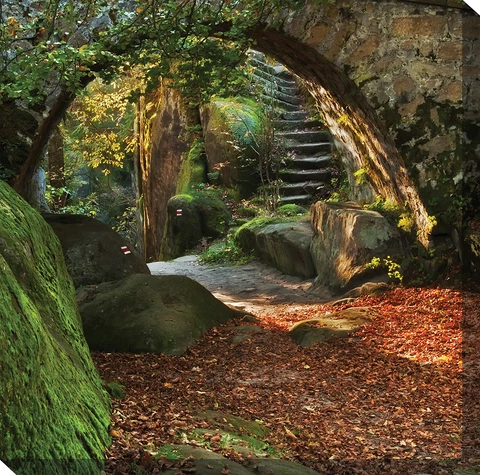 Outdoor Safe Print Art on Canvas NATURE'S NOOK  24" X 24" In or Outdoor 79024-24 Cover