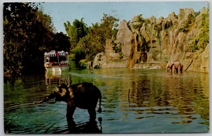 c1967 Jungle Cruise Elephant Bathing Pool Adventureland Disneyland Anaheim CA - Bild 1 von 2