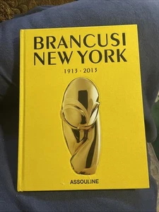Brancusi New York by Jerome Neutres (2013, Hardcover)  Like New - Imagen 1 de 9