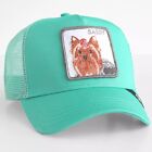 Chapeau de baseball Goorin Animal Farm Trucker Sassy Rare Yorkshire Terrier Yorkie