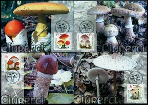 2017 Mushrooms,Pilze,Fungi,Champignons,Setas,Romania,Mi.7280,FDC/maxi cards - Picture 1 of 2