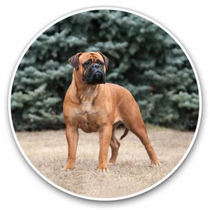 2 x Vinyl Stickers 30cm - Large Bullmastiff Breed Dog Cool Gift #3148 - Picture 1 of 9