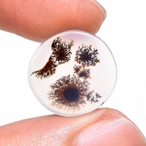 A+ Natural Scenic Dendritic Agate Fancy Cabochon Gemstone 5.20CT 14x15x2mm BC-23 - Picture 1 of 9