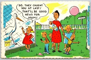 Postcard Humor Comic Caught You At Last Stork Mother w 6 Children Funny - Picture 1 of 2
