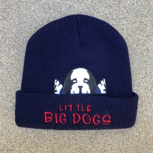 VTG LITTLE BIG DOGS Cuffed Beanie Hat Kids Youth Ribbed Blue Cap One Size - Picture 1 of 5