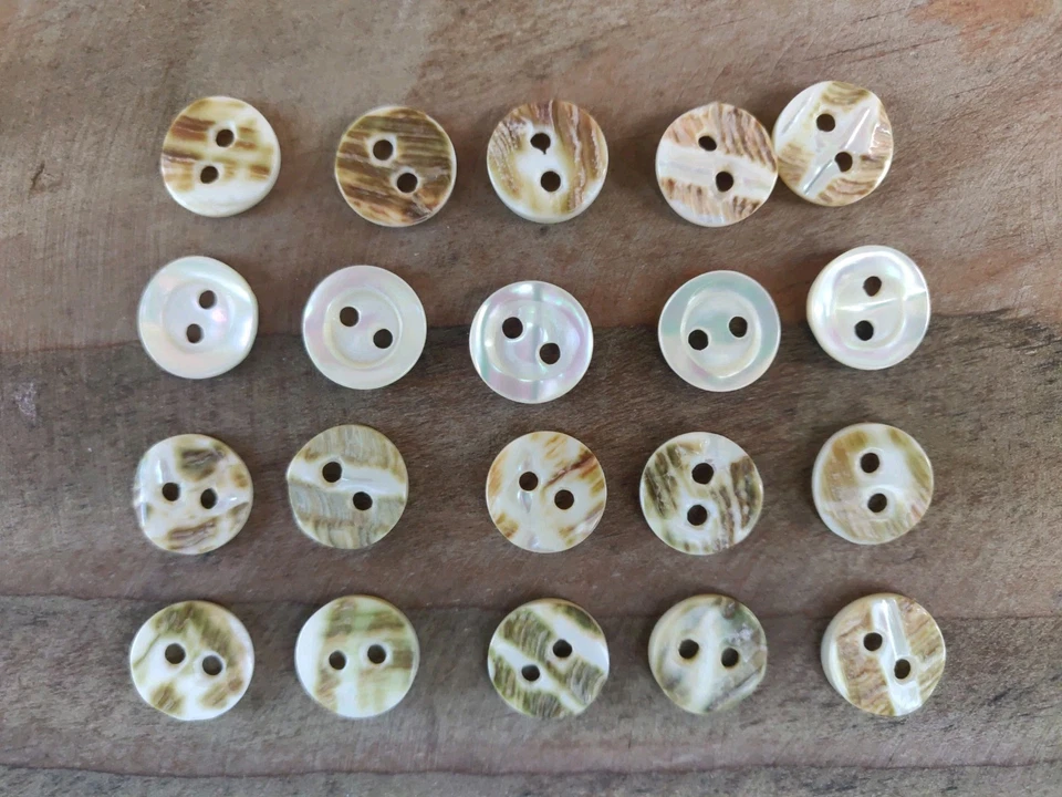 20 Perlmutt Knöpfe 12mm Perlmuttknöpfe grün weiß - Bild 1 von 1