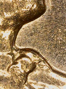 A 1964-D Lincoln Cent Featuring Design Doubling Obverse MS/BU/RD. - Picture 1 of 8
