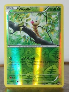 Weedle - XY Base Set - Individuales - 3/146 - Pokemon TCG - Holograma Inverso - Imagen 1 de 16