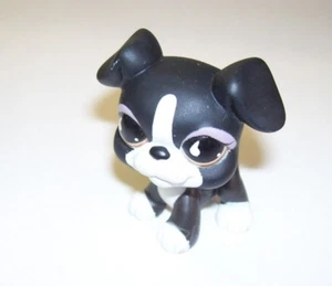 Littlest Pet Shop Hund schwarz mit weißen und Schlappohren - Bild 1 von 1