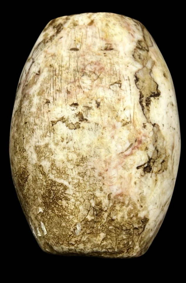 Authentic Ancient Indus Valley Stone Shell Bead 1000 BC Baluchistan - Imagem 1 de 4