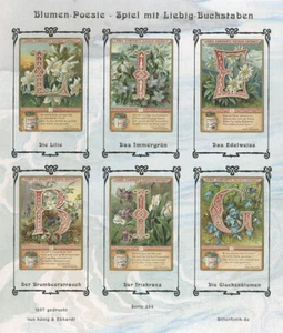 Blumen Poesie Spiel mit Liebig Buchstaben Lilie Iris Sammelbilder Liebig 354 - Bild 1 von 1
