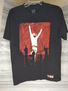 Daniel Bryan Special Edition Yes Chant WWE Authentic Black T-shirt Size Medium - Picture 1 of 12