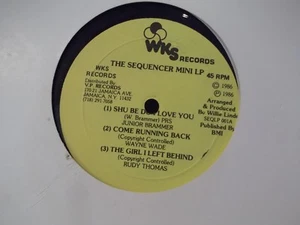 REGGAE WKS RECORDS SAMPLER JUNIOR BRAMMER,WAYNE WADE,RUDY THOMAS,W. LINDO - Picture 1 of 2