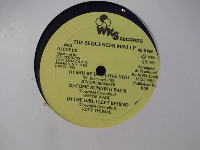 REGGAE WKS RECORDS SAMPLER JUNIOR BRAMMER,WAYNE WADE,RUDY THOMAS,W. LINDO - Image 1 of 2