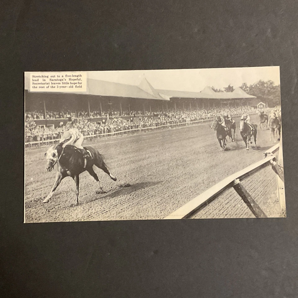 SECRETARIAT photo Horse Racing 1972 HOPEFUL SARATOGA RACE COURSE - Image 1 of 1