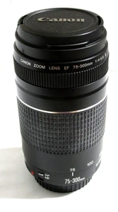 Canon Zoom Lens EF 75-300mm 1:4-5.6 III - Picture 1 of 5