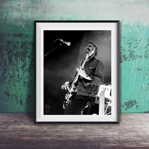 Impresión fotográfica de concierto Hozier - Imagen 1 de 2
