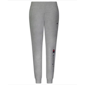 Champion Big Boys Fleece Joggers with Side Script and Tapered Leg, Gray - XL - Picture 1 of 4