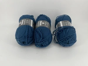 Lot of 3 Patons Canadiana Solids Yarn Skeins | Worsted Weight | 300g Total - Picture 1 of 4