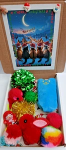 WEIHNACHTEN KATZENSPIELZEUGKISTE MIT ZEHN LUSTIGEN KÄTZCHENSPIELZEUGEN FESTLICH KATZE KATZENMINZE BALL SPIELSPIELZEUG - Bild 1 von 2