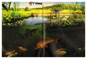 SPIROU 1722 SUPPLEMENT POSTER L'ETANG (seul) - Bild 1 von 1