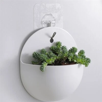 Sleek and Lightweight Plant Pots for Creative Indoor Displays on Walls - image 1 of 4