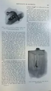 Imitación en monos 1909 por Melvin E. Haggerty ilustrado - Imagen 1 de 6