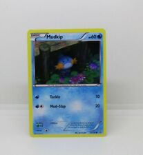 Mudkip Holo (33/160) - XY Primal Clash Set - Light Play Trading Card