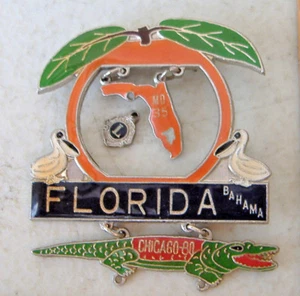 FLORIDA~BAHAMA~MD 35~CHICAGO 80~ LIONS CLUB PIN - Picture 1 of 6
